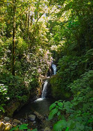 20250227_Costa-Rica_318_E.jpg