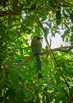20250228_Costa-Rica_481.jpg