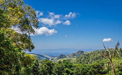 20250228_Costa-Rica_490.jpg