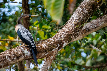 20250301_Costa-Rica_346.jpg