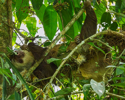 20250304_Costa-Rica_120.jpg