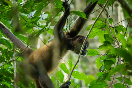 20250304_Costa-Rica_171-Enhanced-NR.jpg