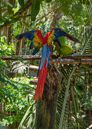 20250307-Costa-Rica-185.jpg