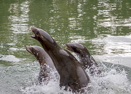 20210817_Longleat_053.jpg