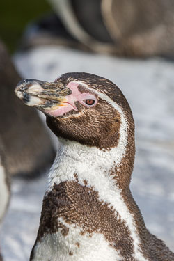 20190406_peak-w-park_013.jpg