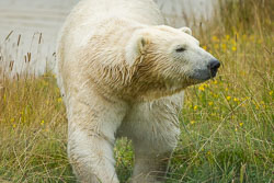 20240819_Peak-Wildlife-Park_033.jpg