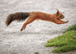 20240819_Peak-Wildlife-Park_056.jpg