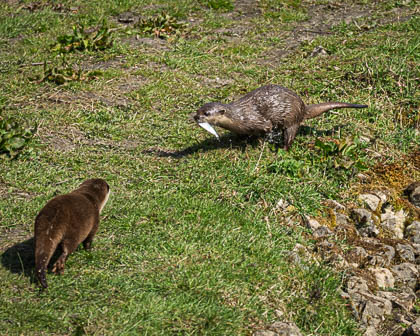 20250403-Peak-Wildlife-Park-171.jpg