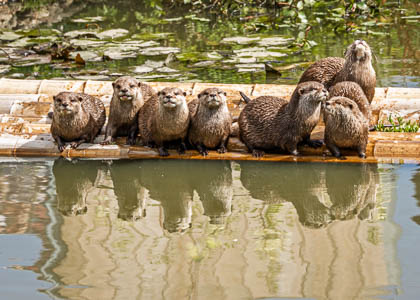 20250708_Peak-Wildlife-Park_024.jpg