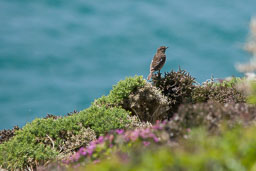 20110630_SouthStack_014.jpg