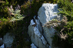 20110703_SouthStack_026.jpg