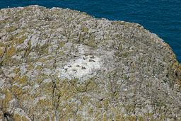 20110703_SouthStack_033.jpg