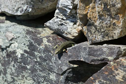 20110703_SouthStack_038.jpg