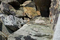 20110703_SouthStack_049.jpg