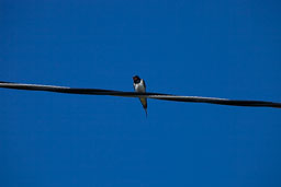 20110703_SouthStack_051.jpg