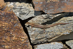 20110703_SouthStack_058.jpg