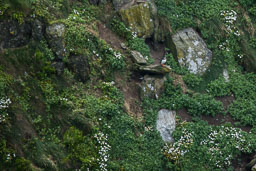 20110709_southstack_014-E-E.jpg