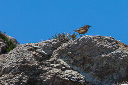 20120526_SouthStack_017-E-E.jpg