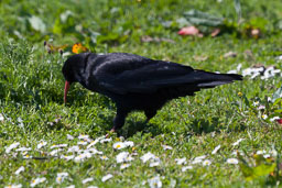 20120526_SouthStack_029-E.jpg