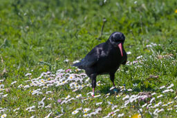 20120526_SouthStack_036-E-E.jpg