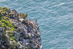 20190505_southstack_020.jpg