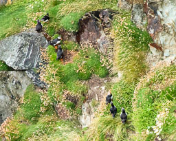 20210623_southstack_140-E.jpg