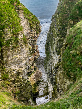 20240326_Bempton_001_E.jpg