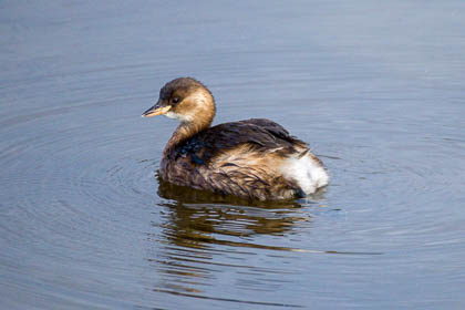 20241021-burton-mere-027_E.jpg