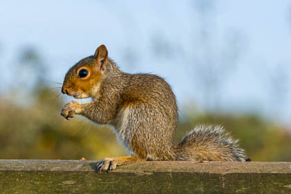 20241021-burton-mere-147_E.jpg