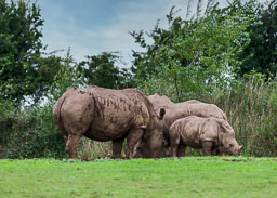 20180818_S-Lakeland-Zoo_003-E.jpg