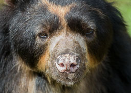 20180818_S-Lakeland-Zoo_190.jpg