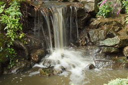 20100822_slimbridge_008.jpg