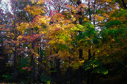 20021020_Boston_009.jpg