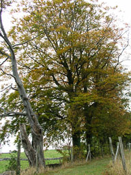 20040501_Wirksworrth_39.jpg