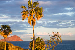 20120212_tenerife_007.jpg