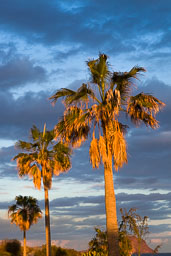 20120212_tenerife_010.jpg