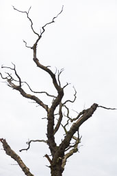 20120803_Little-Morton-Hall_027.jpg