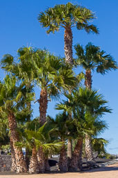 20160410_lanzarote_004.jpg