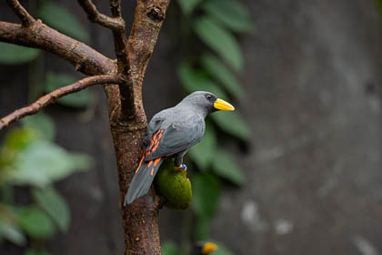20250909_ChesterZoo_036.jpg
