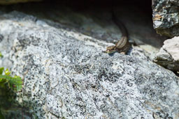 20110709_southstack_061-E.jpg