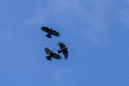 20110630_SouthStack_024.jpg