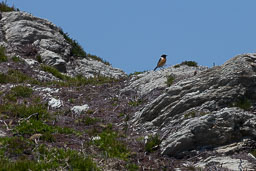 20120526_SouthStack_014.jpg