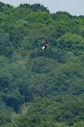Images of Wildlife
 Hero