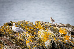 20210624_southstack_055.jpg