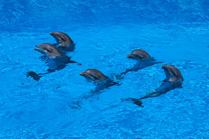 20110725_GC_033.jpg