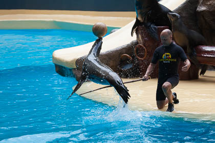 20120216_Loro-Parque_114.jpg