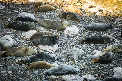 20130219_Little-Orme_028.jpg