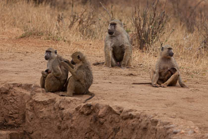 20130805_Kenya_198.jpg