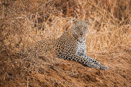 20130805_Kenya_279.jpg