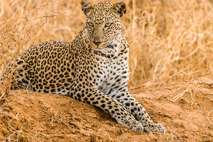 20130805_Kenya_286.jpg
